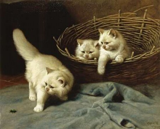 White Angora Kittens With a Beetle Poster Print by Arthur Heyer - Item # VARPDX268097