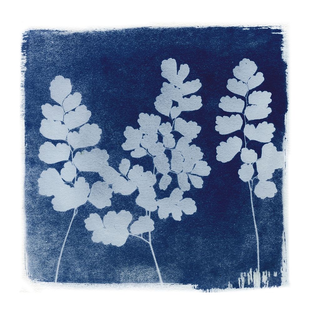 Flora Cyanotype II Poster Print by Nancy Green - Item # VARPDXRB12899NG