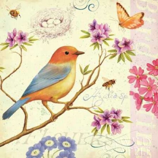 Birds and Bees II Poster Print by Daphne Brissonnet - Item # VARPDX7692
