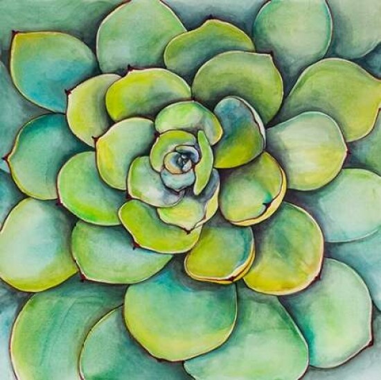 Watercolor Succulent Plant Poster Print by Atelier B Art Studio - Item # VARPDXBEGFLO136