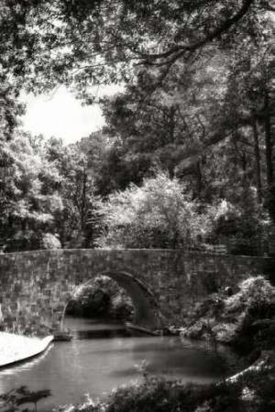 Garden Bridge I Poster Print by Alan Hausenflock - Item # VARPDXPSHSF1381