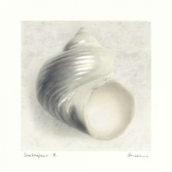 Sea Shapes IV Poster Print by Amy Melious - Item # VARPDXMEL320