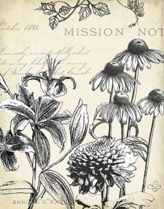 Pen and Ink Floral Study III Poster Print by Marie Elaine Cusson - Item # VARPDXRB10887MC