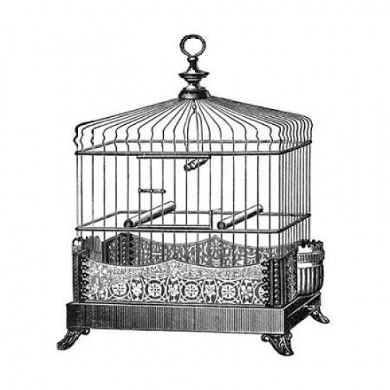 Etchings: Birdcage - Filigree base. Poster Print by Catalog Illustration - Item # VARPDX454809