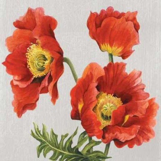 Poppies on Silk Poster Print by Judy Shelby - Item # VARPDXCC3279