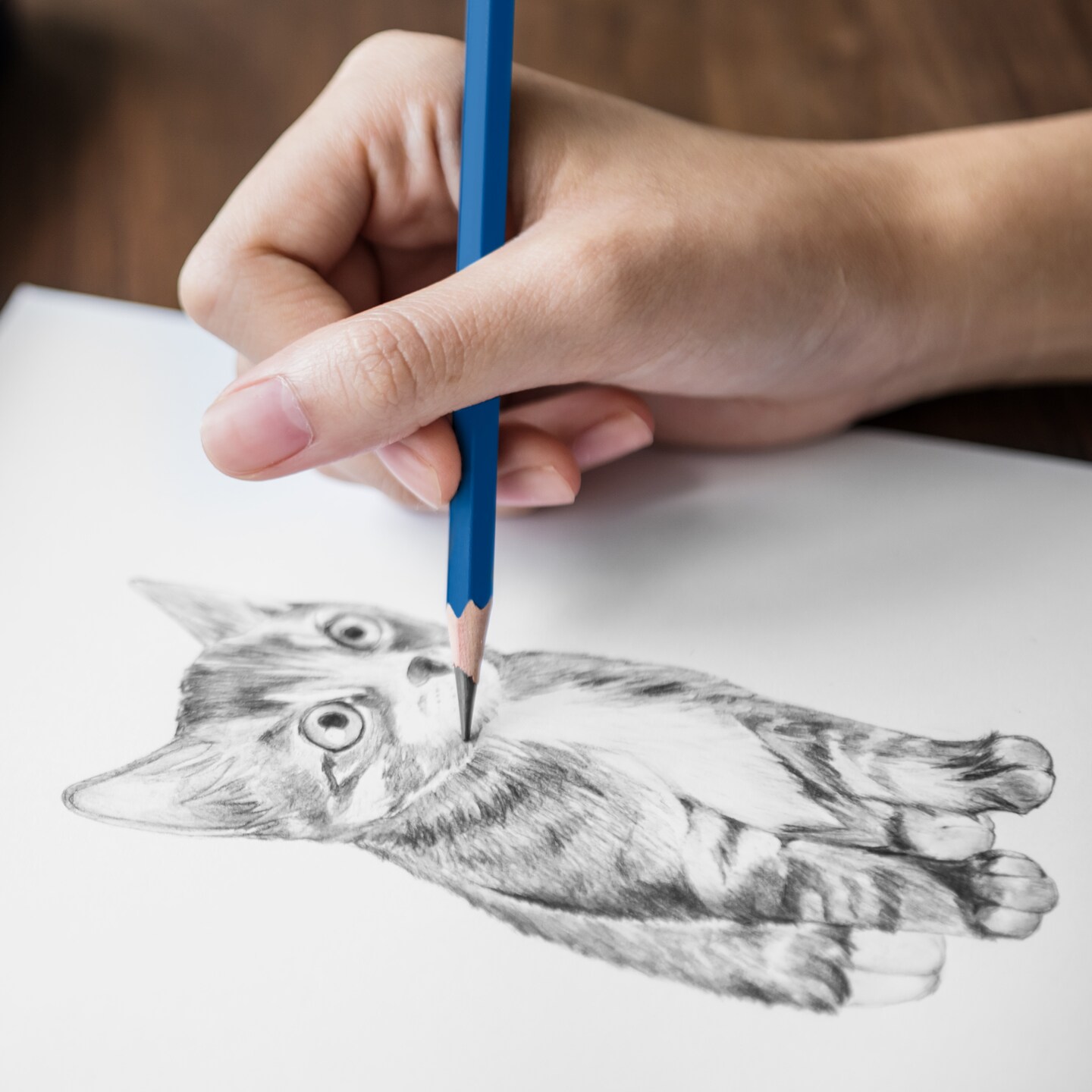 50+ Inspirational Pencil Drawings and Illustrations Inspirational Examples  That Will Inspire The Artist in You | How to Draw Step by Step Drawing  Tutorials