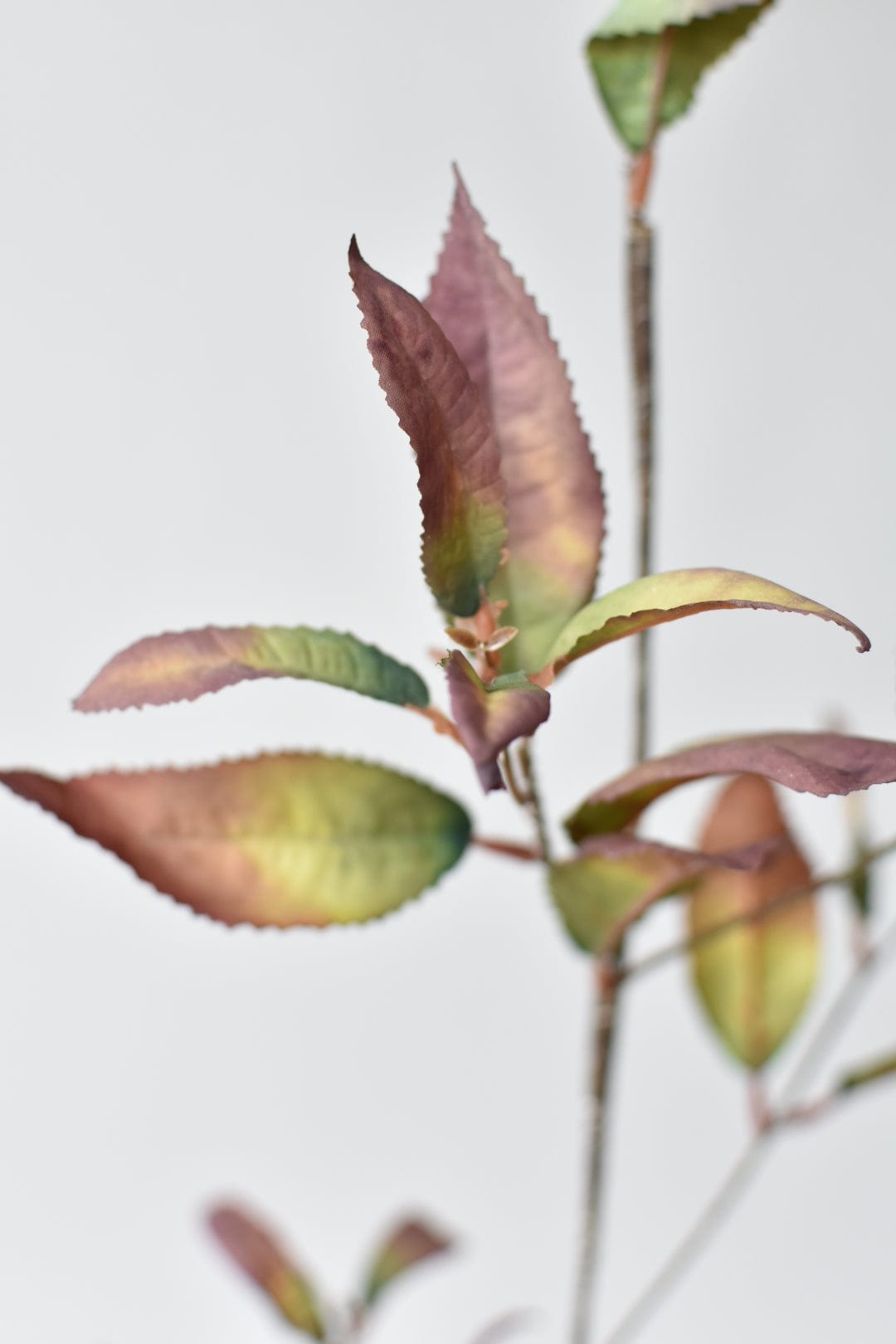 48&#x22; Faux Dried Chokeberry Fall Foliage Stem - Dried Eggplant Brown