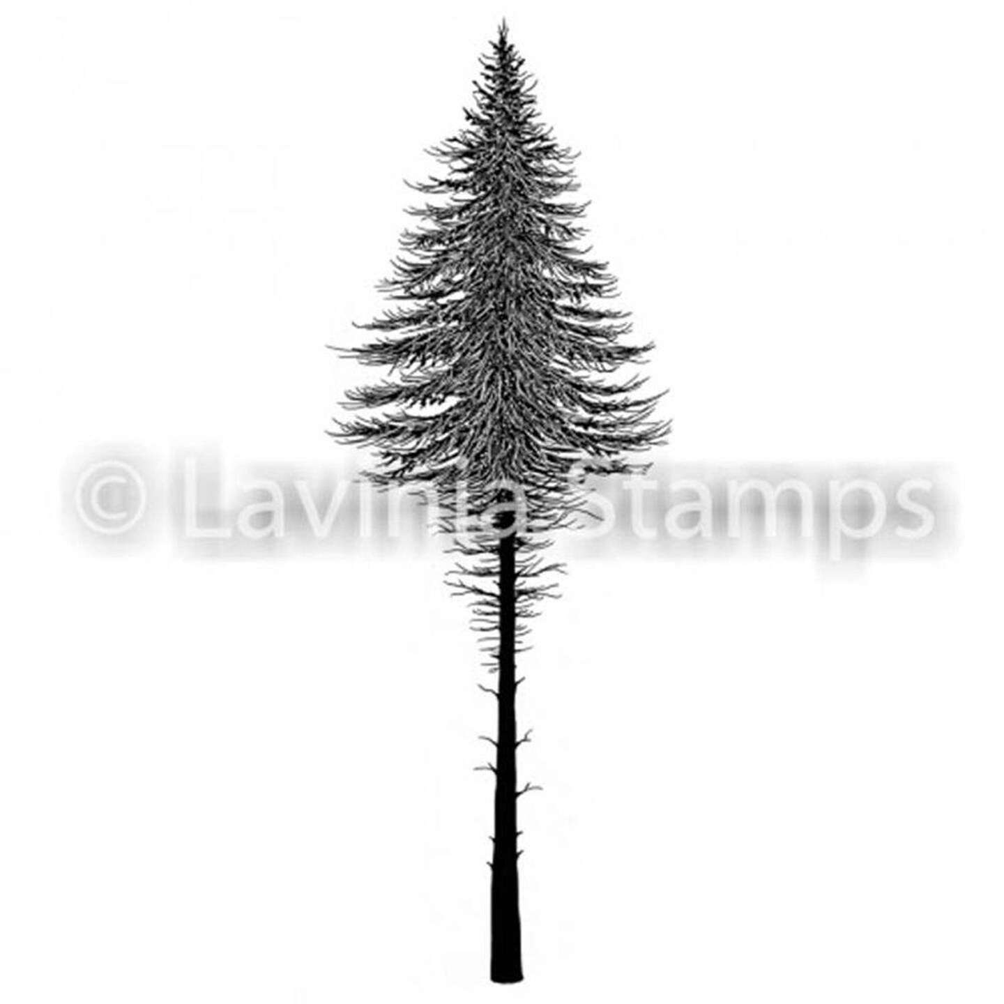 Lavinia Stamps Lavinia Stamp - Fairy Fir Tree 2