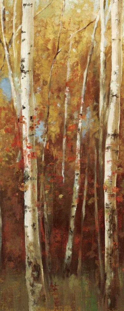 Birch Forest II Poster Print by Ella K - Item # VARPDXKLZ27M8X20