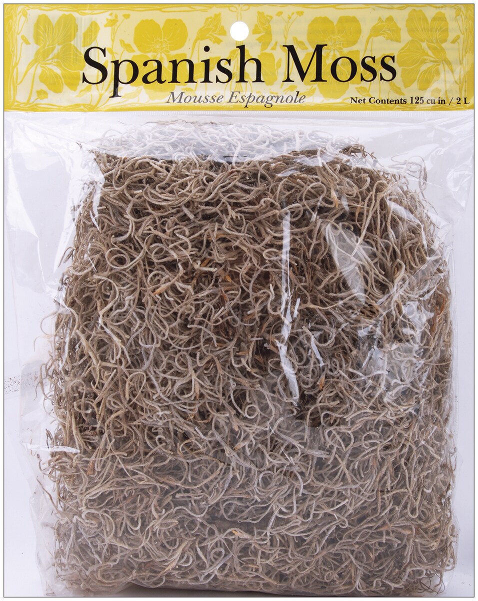 Panacea Spanish Moss 4oz-Natural