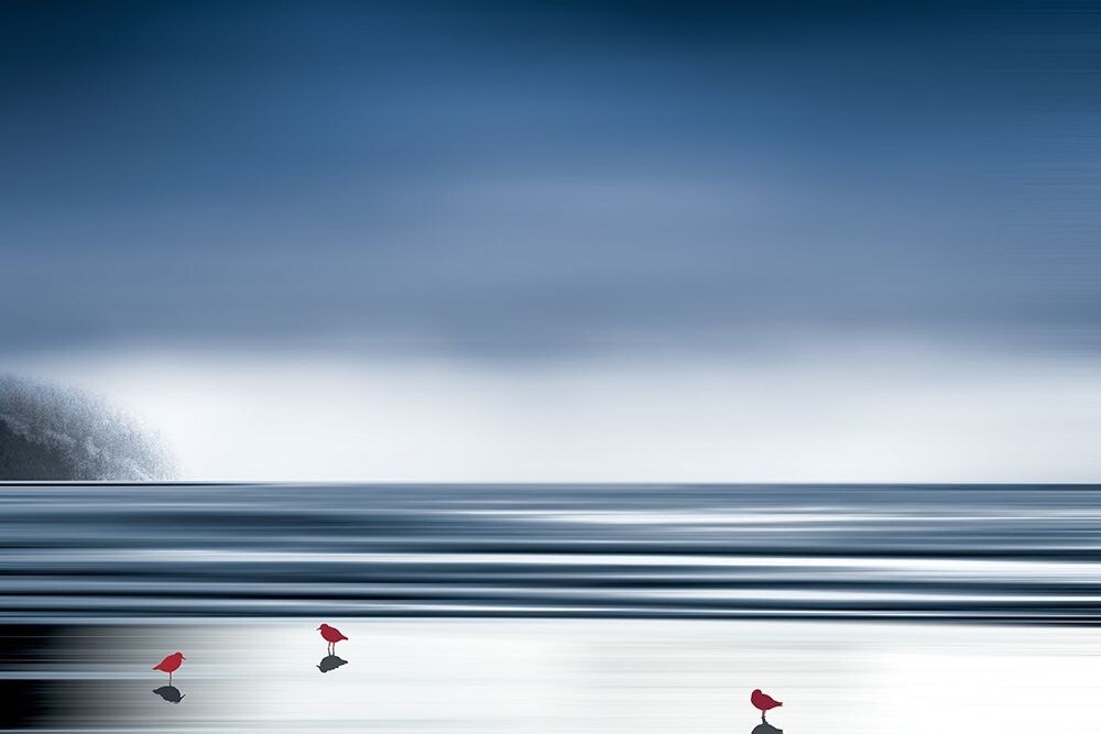 By The Shore Poster Print by Marvin Pelkey - Item # VARPDXPOD60470