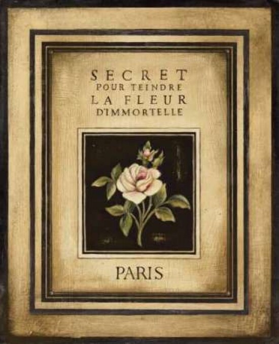 Les Fleurs de Paris I Poster Print by Kimberly Poloson - Item # VARPDXPOL134