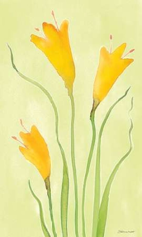 Buttercups Poster Print by Stephanie Marrott - Item # VARPDXSM15614