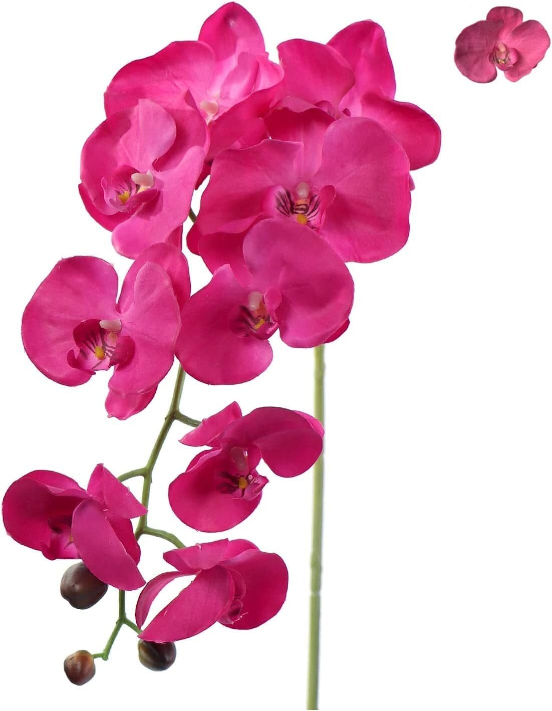 Artificial Orchids Real Touch Phalaenopsis Flowers - Lifelike and ...