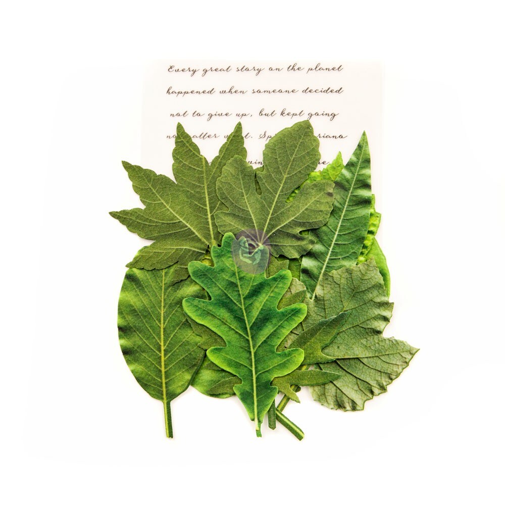 Prima Marketing Inc Leaf Embellishments - Rainer Leaves 655350635619