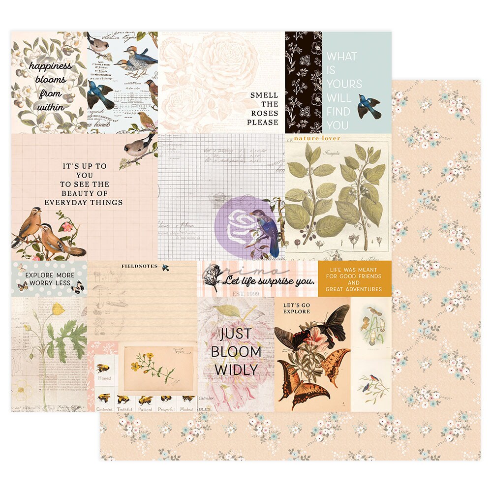 Prima Marketing Inc Nature Lover Collection 12x12 Sheet - Explore More - 10 Sheet W/ Foil Details / Paper 655350849658