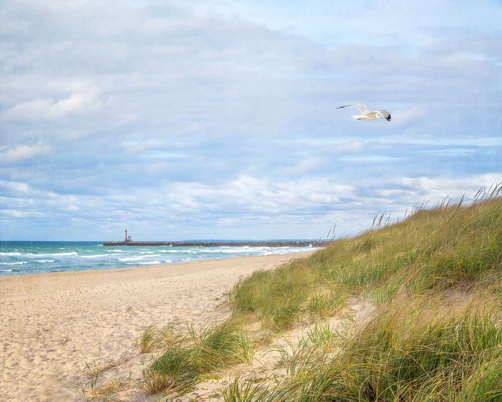 Beach And Jetty by Brooke T. Ryan - Item # VARPDXR1421D