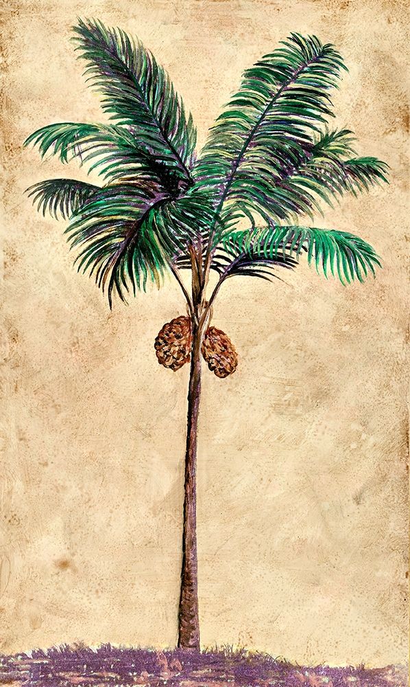 Coconut Tribal Palm II by Merri Pattinian - Item # VARPDX5634A