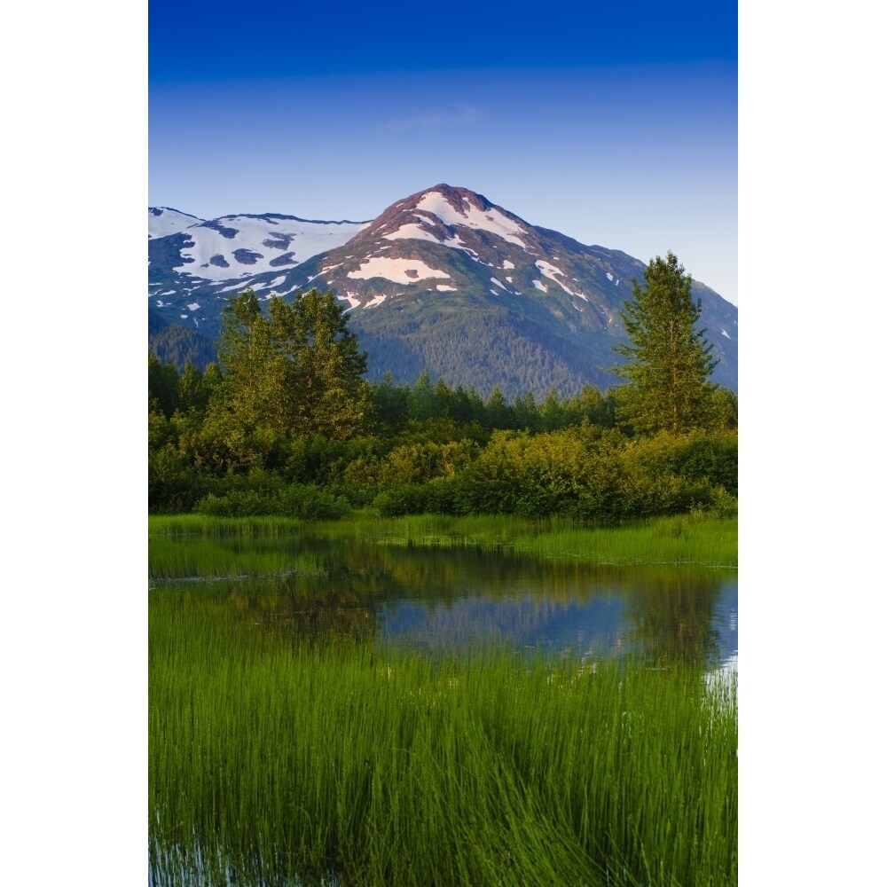 Scenic View Of A Small Stream In Portage Valley With Chugach Mountains In The