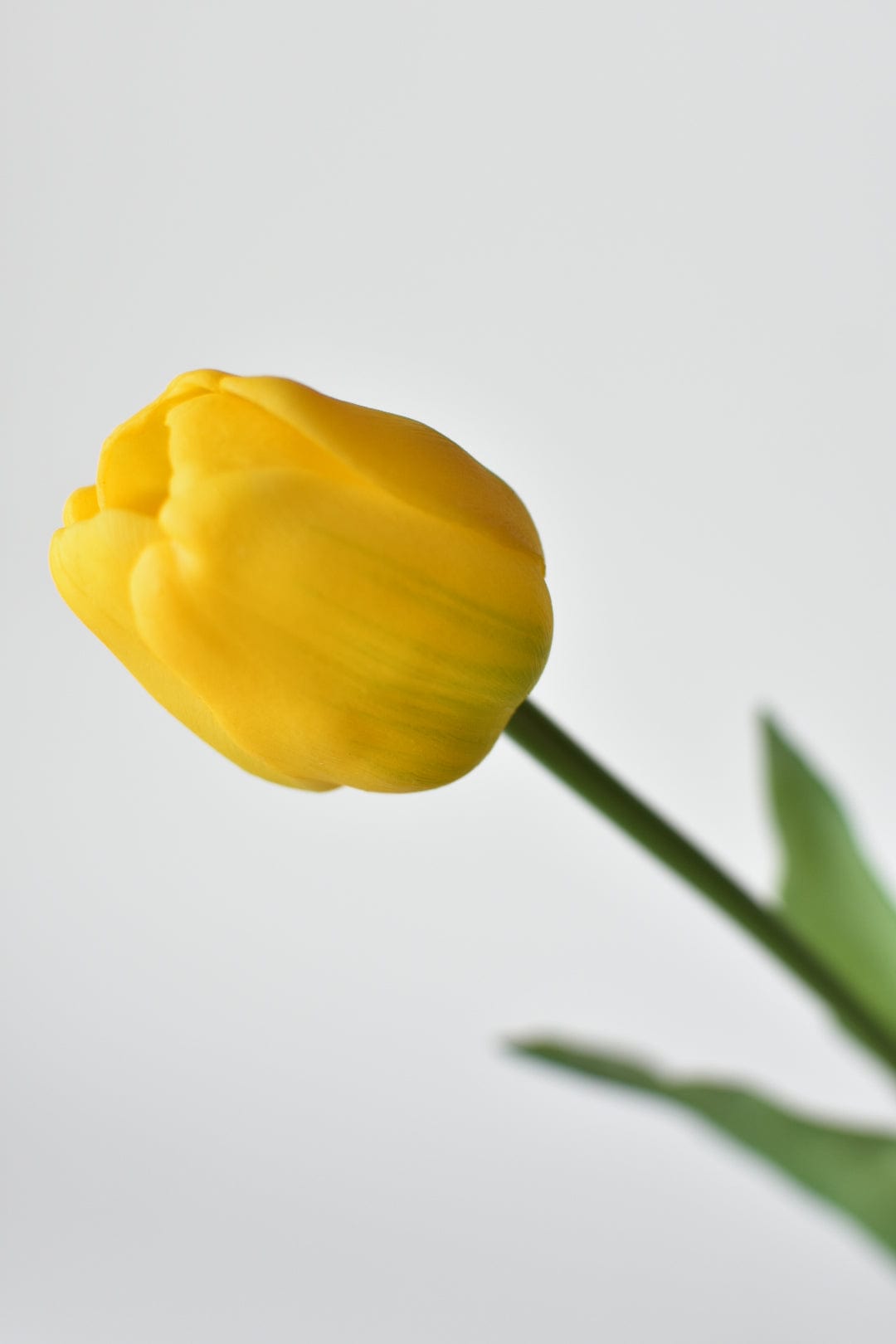 17&#x22; Faux Real Touch Yellow Tullip Stem