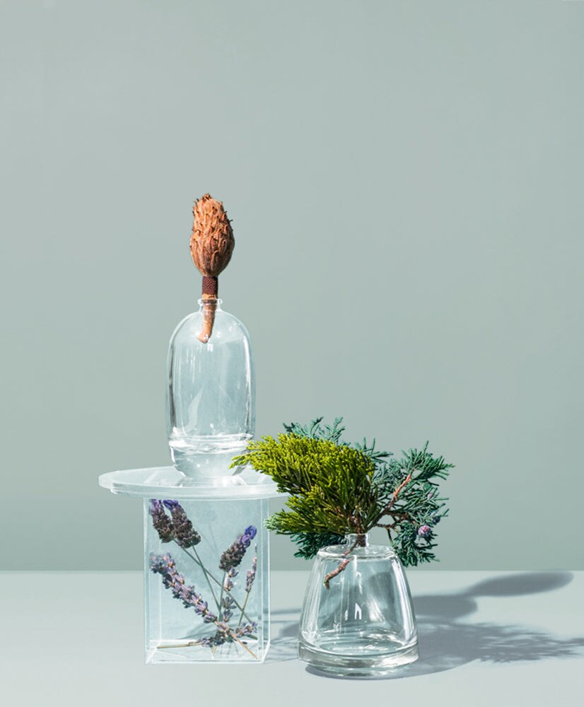 Lavender Leaf &#x26; Balsam | Fragrance Oil for Candles, Soap