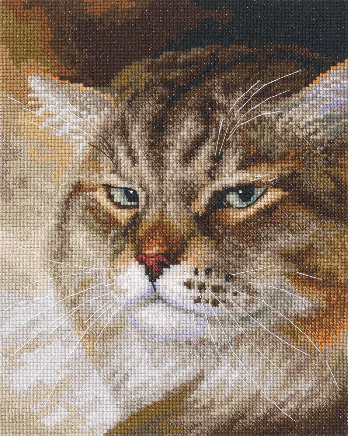 Sly and extremely beautiful. &#x27;&#x27;MACHO&#x27;&#x27; M995 Counted Cross Stitch Kit
