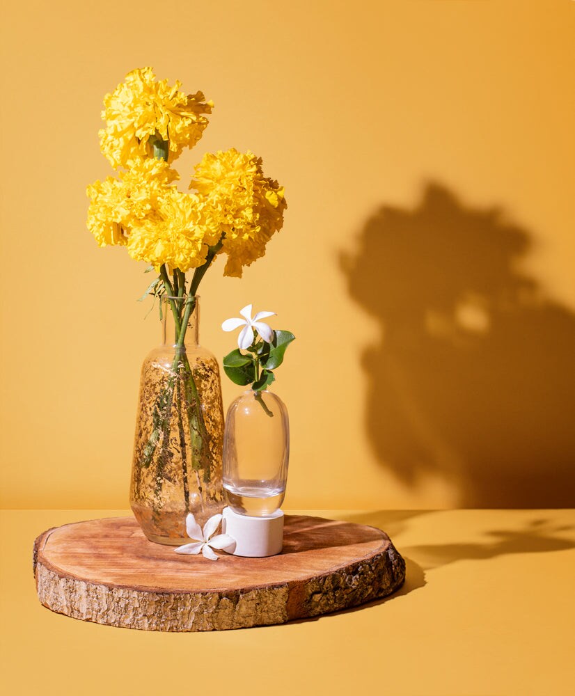 Marigold &#x26; Cedar Musk | Fragrance Oil for Candles, Soap