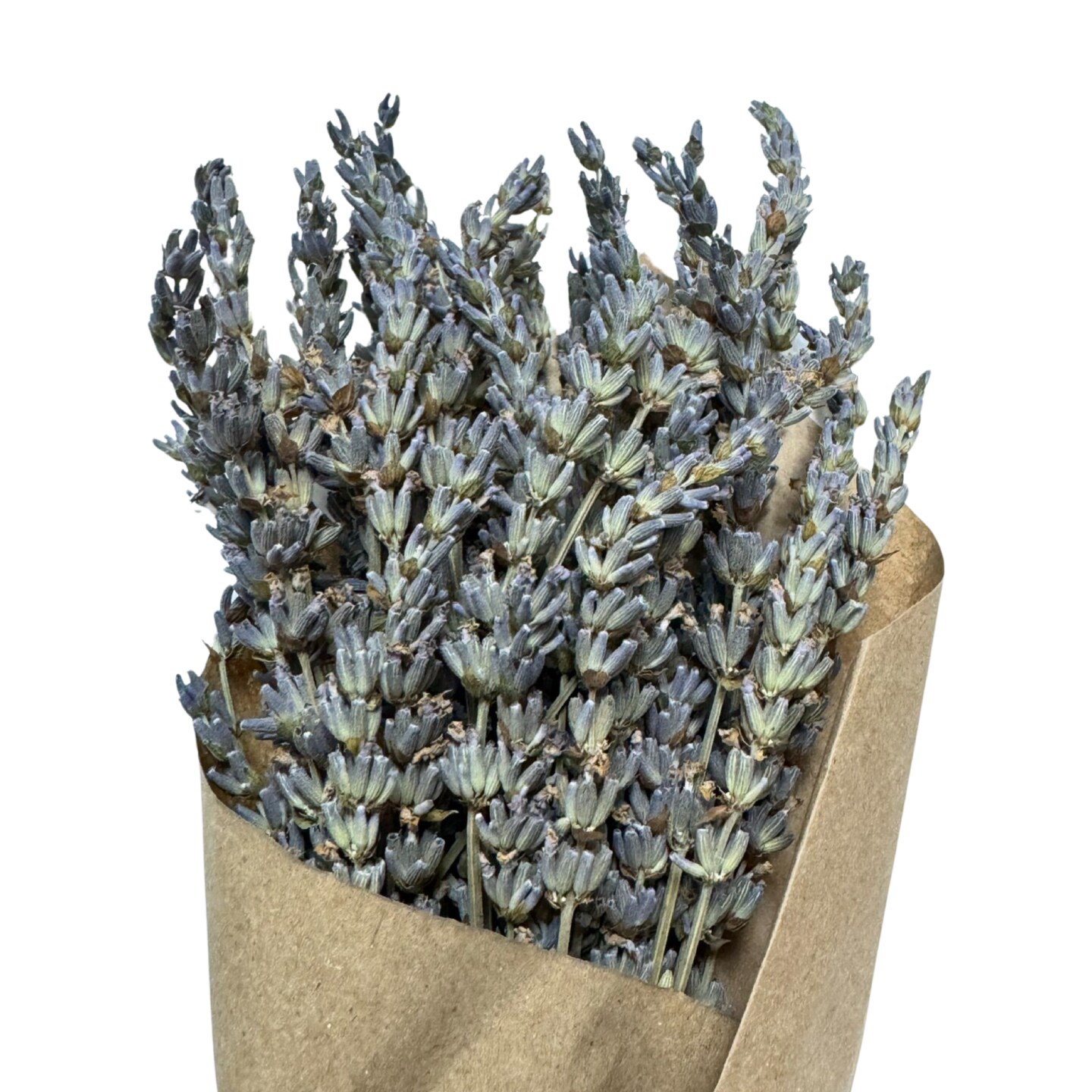 12&#x22; Dried Lavender Bouquet, Set of 2