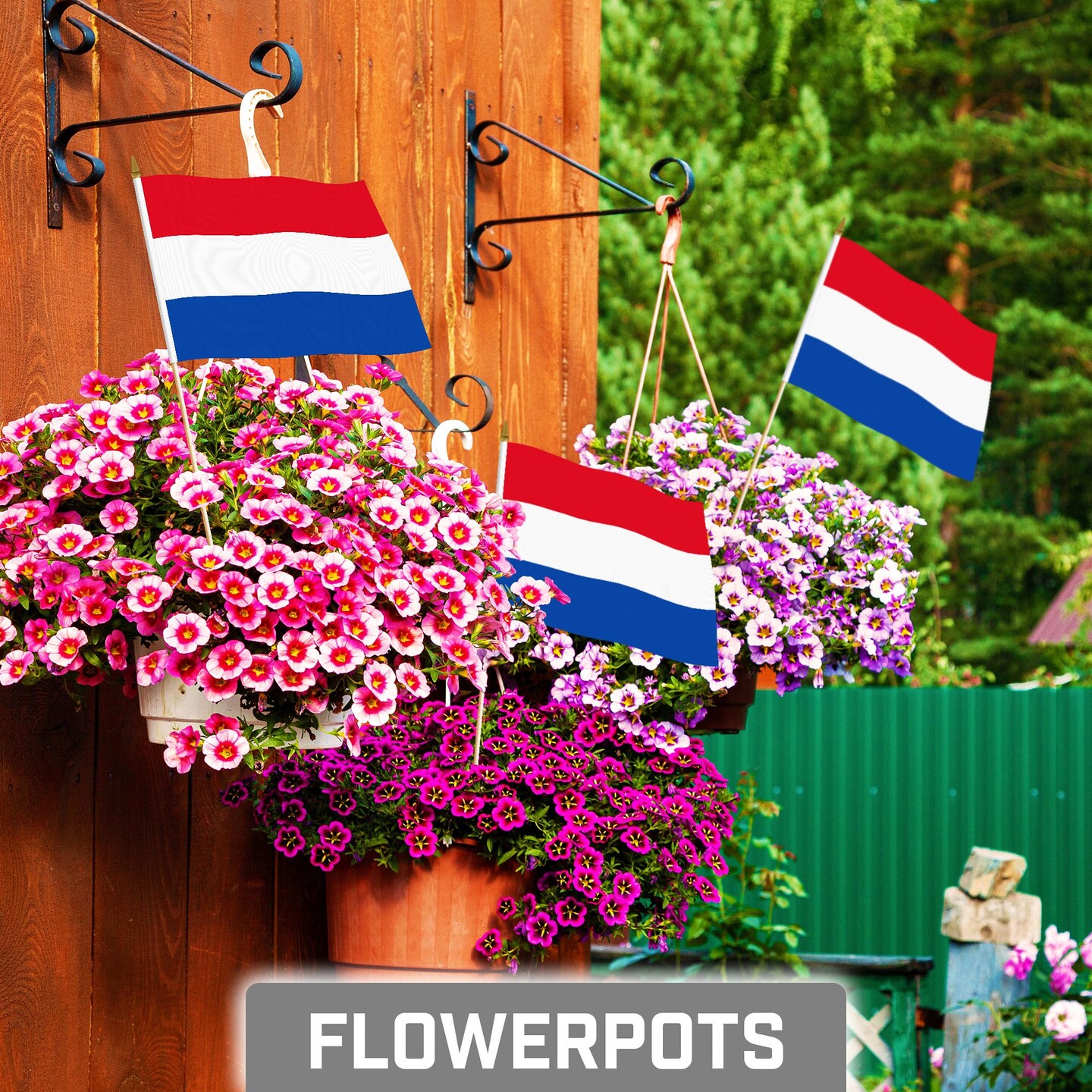 G128 12 Pack Handheld Netherlands Dutch Stick Flags | 8x12 In | Printed 150D Polyester, Country Flag, Solid Wooden Stick, Spear Gold Tip