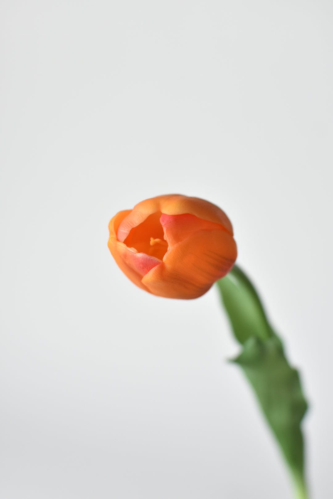 17&#x22; Faux Real Touch Orange Tullip Stem