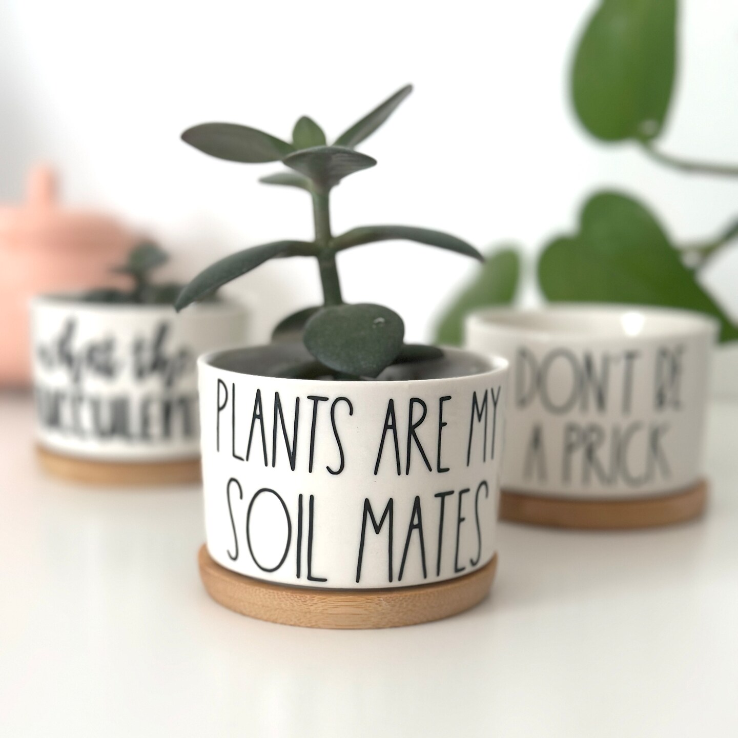 Mini Planters, Funny Planter, Mothers Day Gift, Indoor Plant Pot, Planters, Dad Gift, Planter Lover, Plant Mom