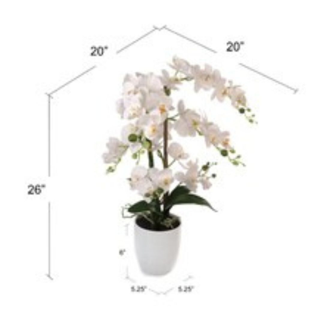 25&#x22; Luxurious Phalaenopsis Orchid - Elegant Silk Flower for Home Decor Accents, Floral Home by Artificial Flowers