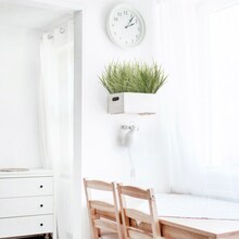 Set of 12: Artificial Millet Grass Bush | 21-Inch | UV Resistant | Indoor/Outdoor Use | Faux Greenery | Parties & Events | Home & Office Decor, Floral Home by Artificial Flowers