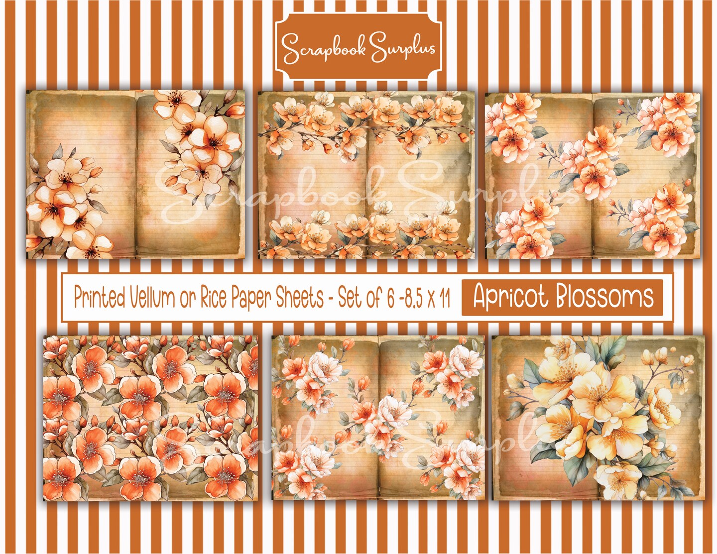 Decoupage Rice Paper Printed Sheets - Set of 6 - 8.5 x 11