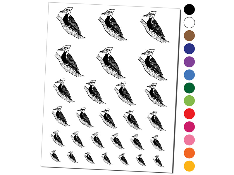 Hear the Differing Drumbeats of Woodpeckers  Audubon