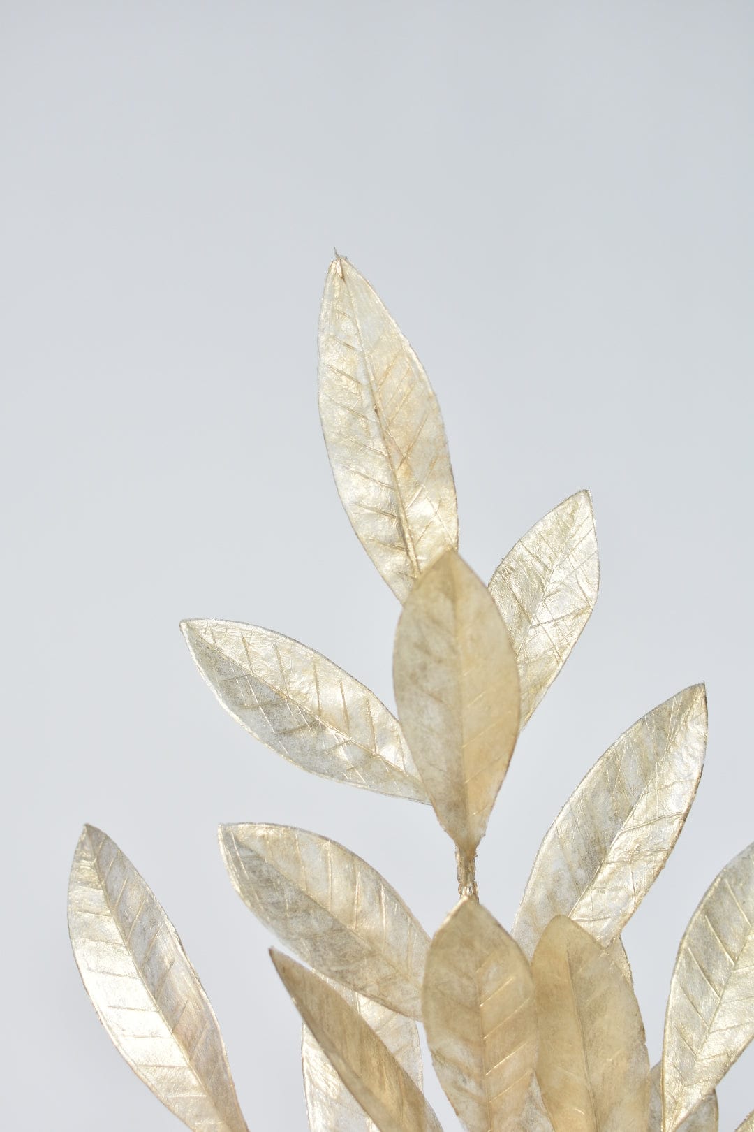 23&#x22; Faux Gold Capiz Bay Leaf Stem