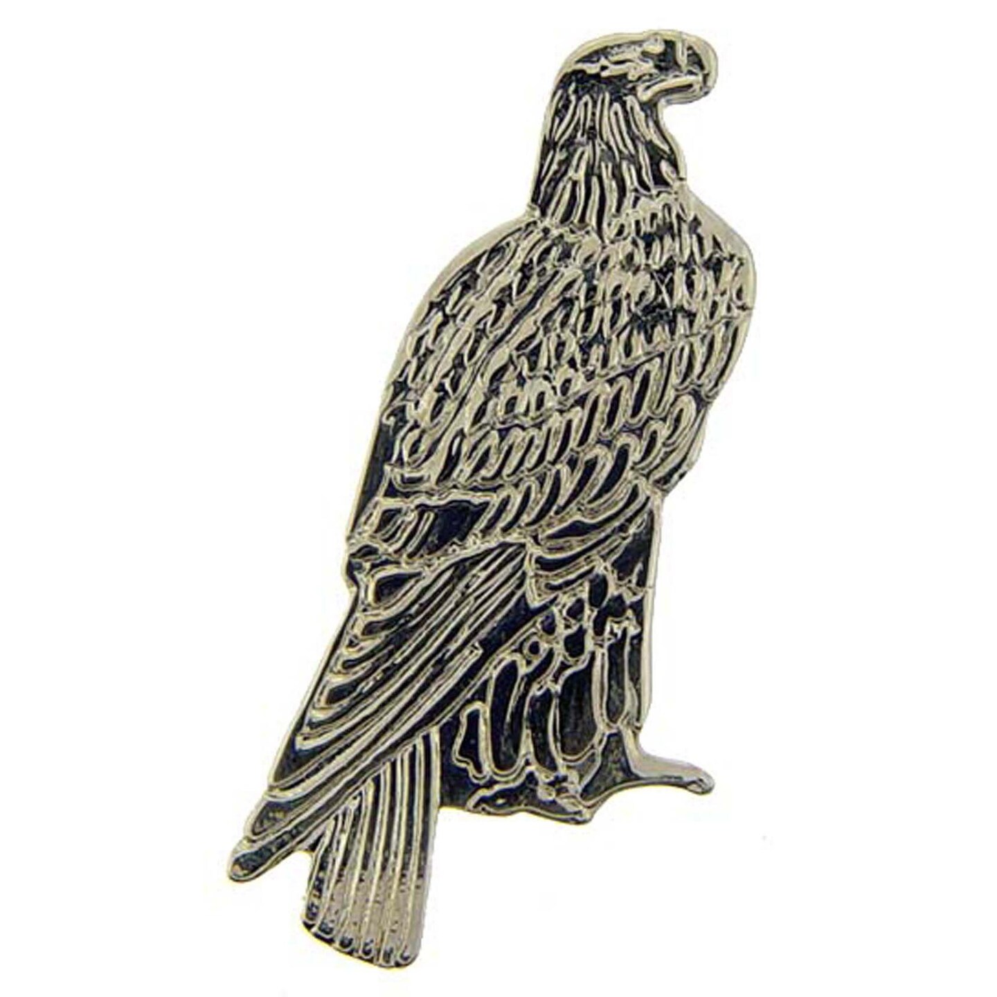 Steel Eagle Pin 1