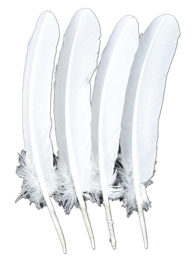 Touch of Nature Turkey Feather Rounds White 12.25-13 4pc