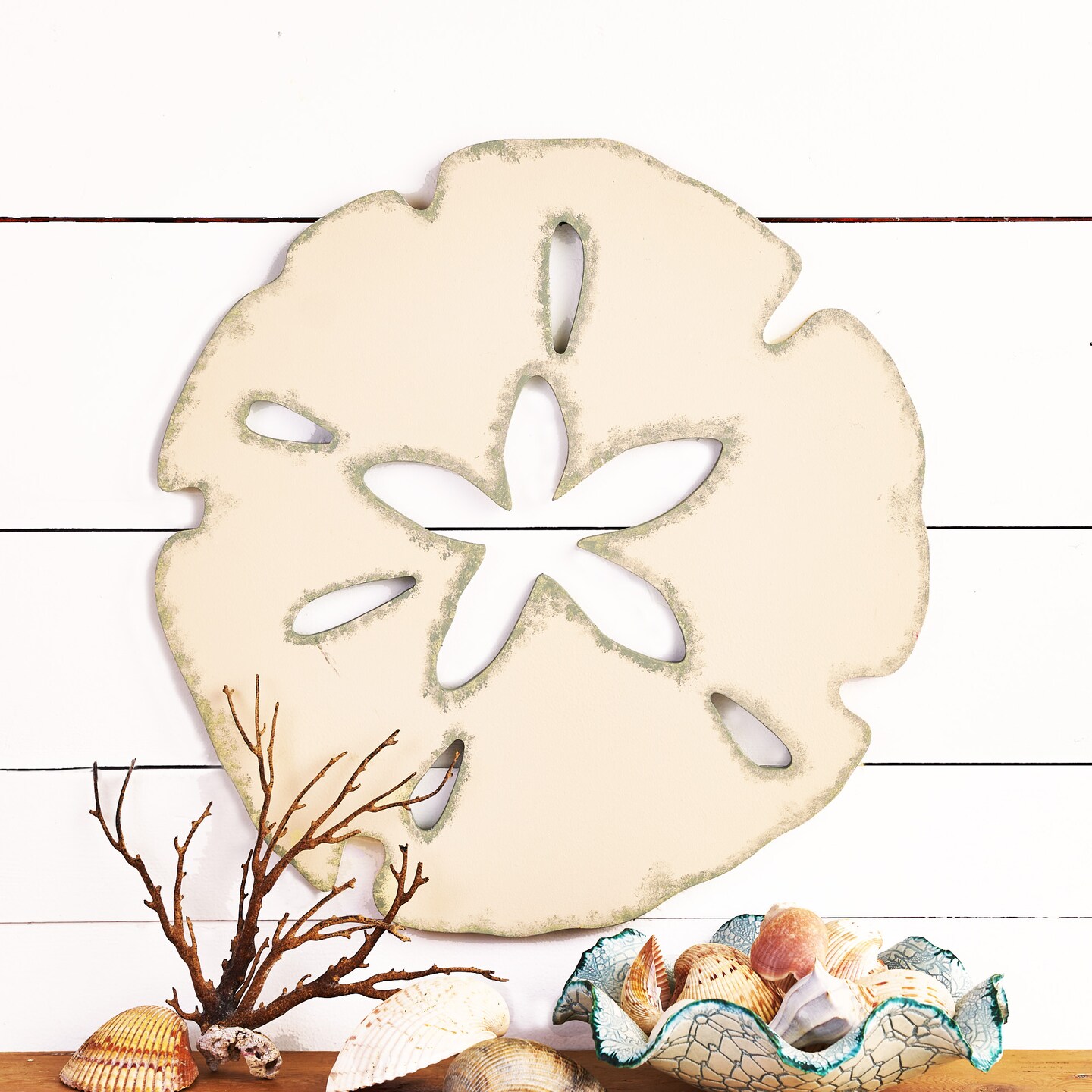 18 in. Unfinished Wooden Sand Dollar Shape