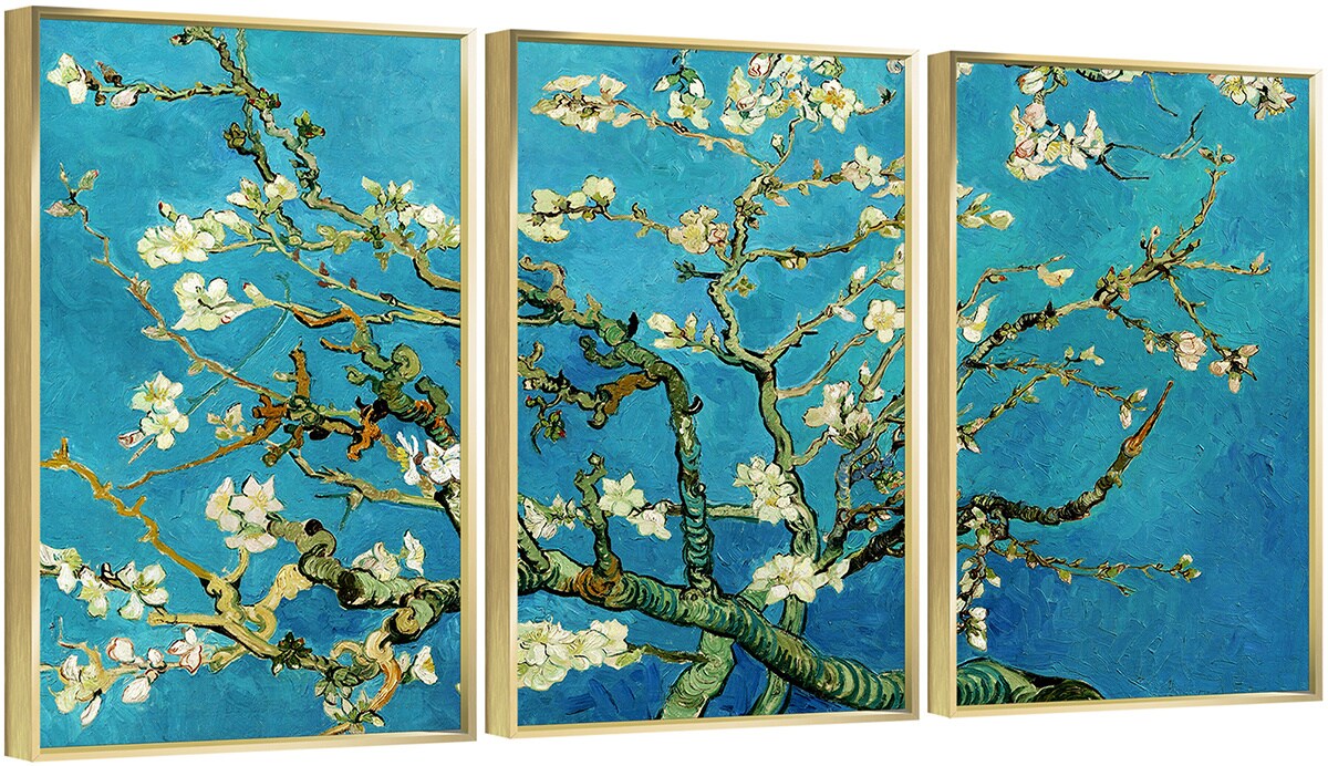 3 Set Framed Canvas Wall Art Oil Paintings - Apricot Blossoms on Branch