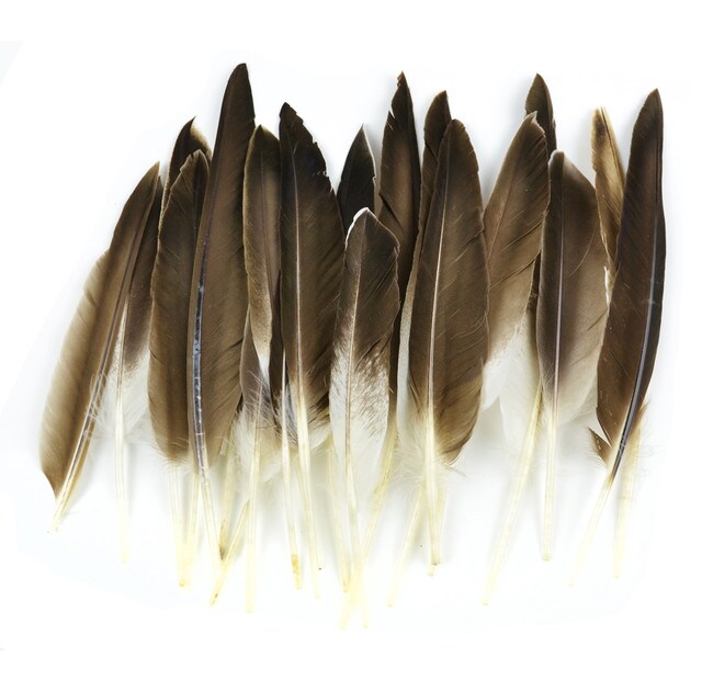 Brown feather , Bird Feather Paper Autumn, Beautiful brown