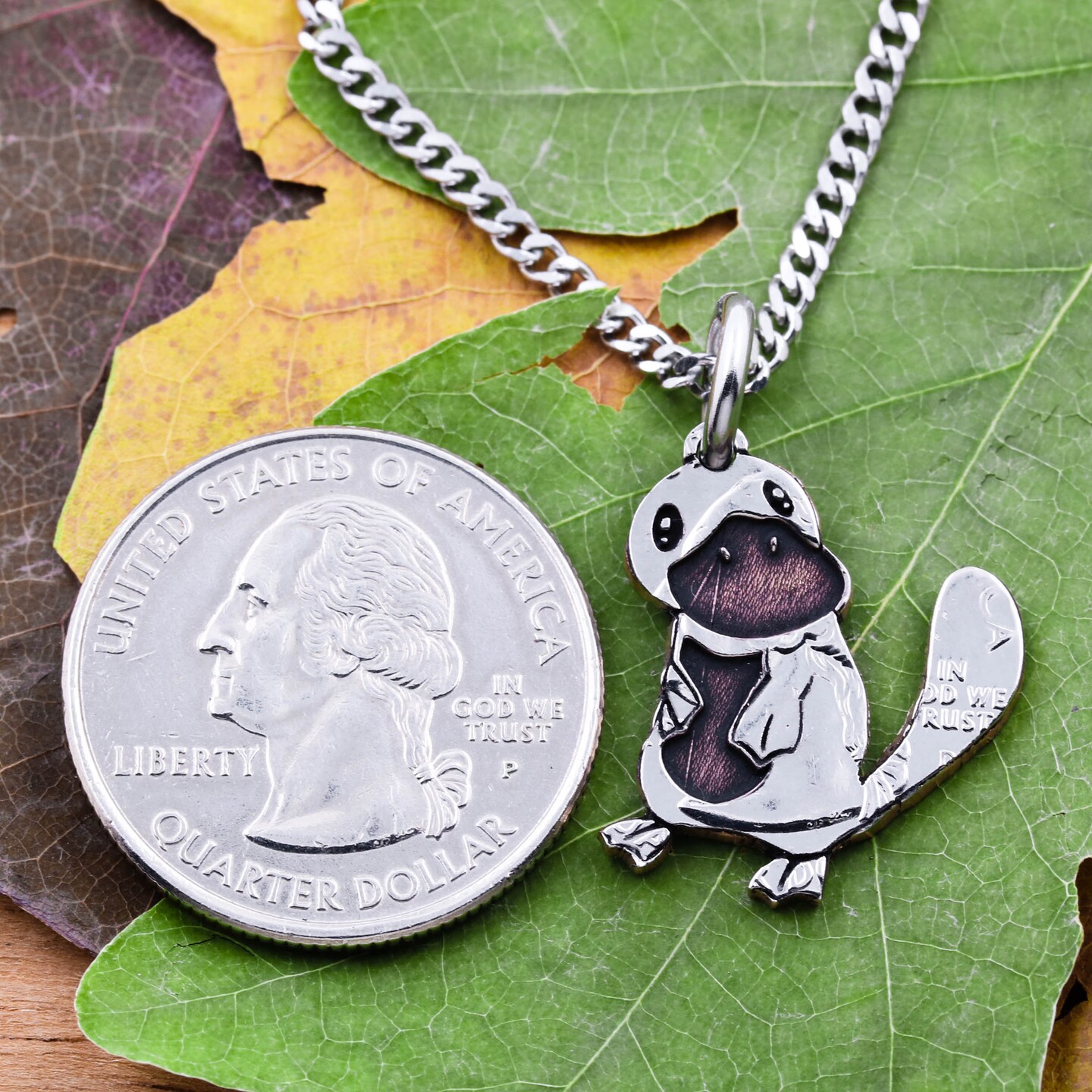 Platypus Necklace, Cute Animal Necklaces, Gifts for Kids, Engraved and Hand  Cut Coin, By NameCoins, style: Silver Quarter