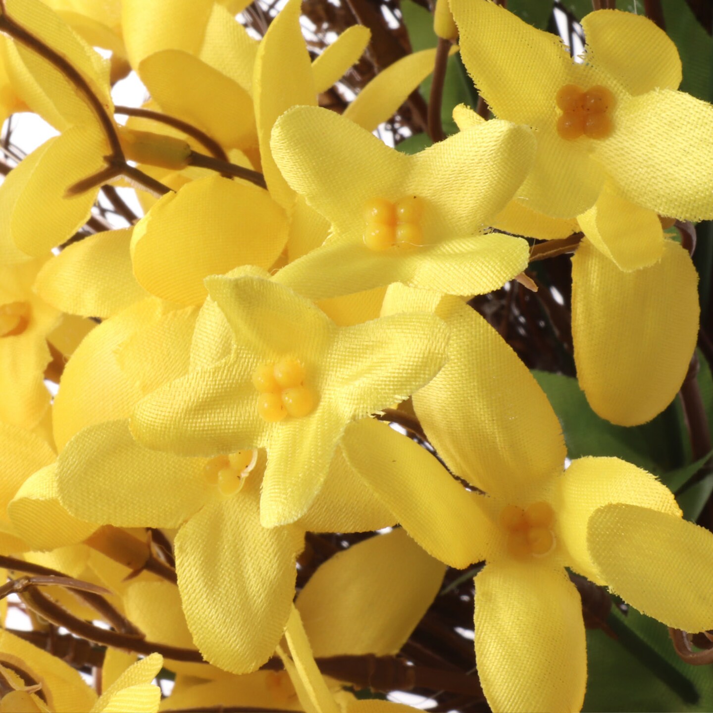2-Pack: 16&#x22; UV Yellow Forsythia Wreath with Grapevine Ring by Floral Home&#xAE;