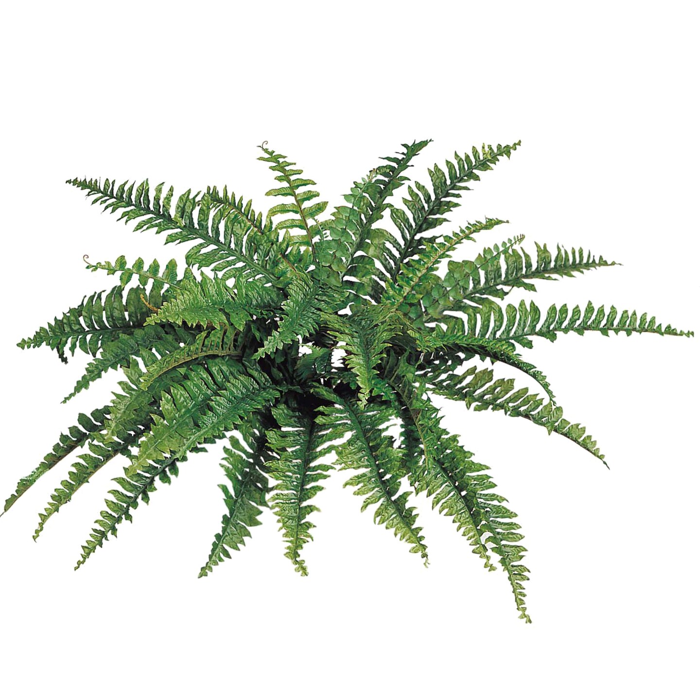 Realistic 34&#x22; Artificial Boston Fern: 42 Silk Fronds, UV Resistant - Indoor/Outdoor Greenery for Home, Office, Patio &#x26; Garden