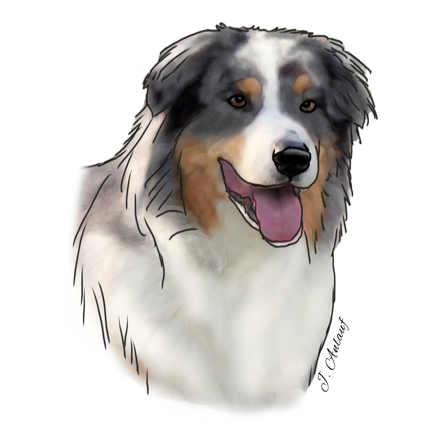 Australian Shepherd (Design 2) Printed Transfer Sheets for a variety