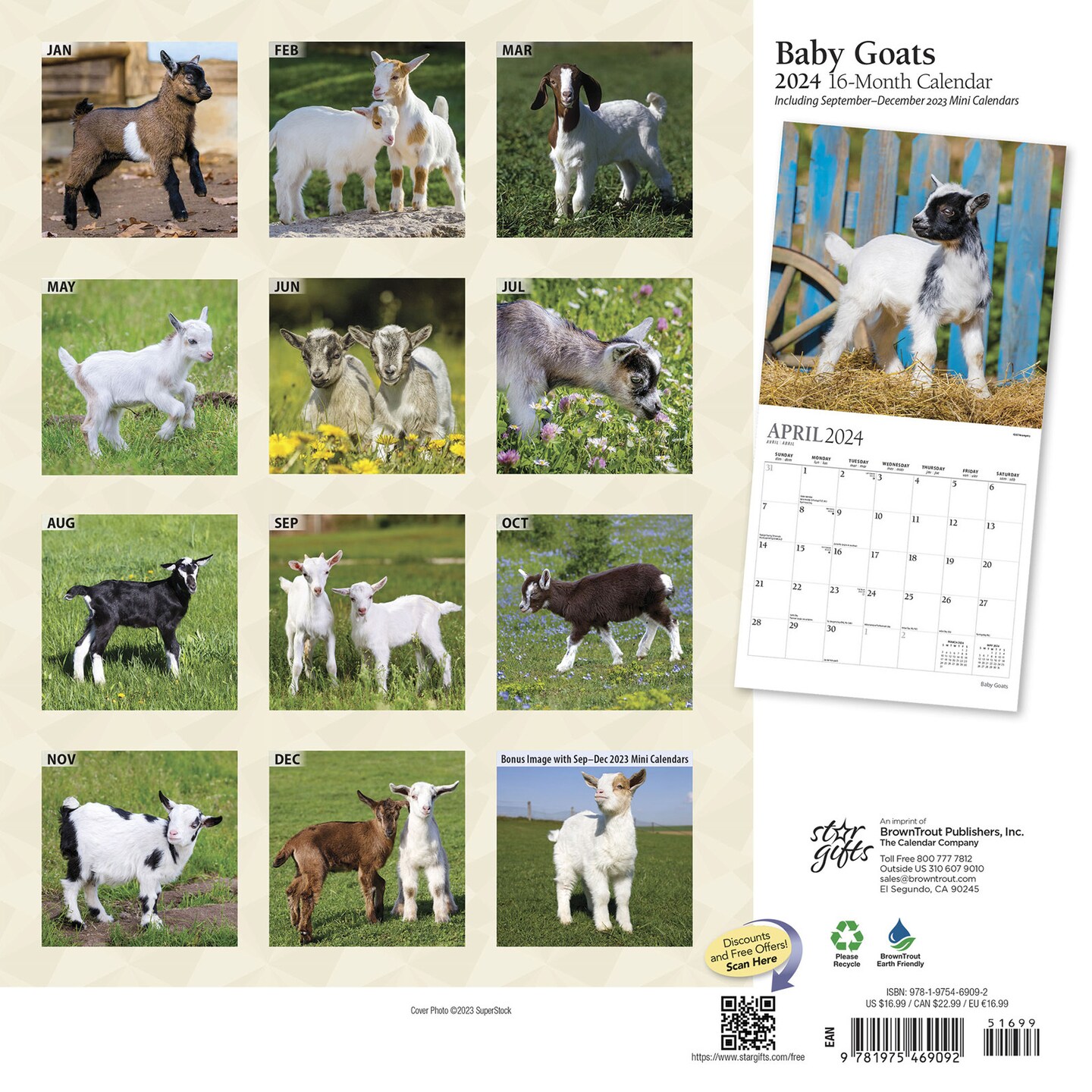 Baby Goats | 2024 12 x 24 Inch Monthly Square Wall Calendar | Sticker Sheet | StarGifts | Animals Domestic Herbivore