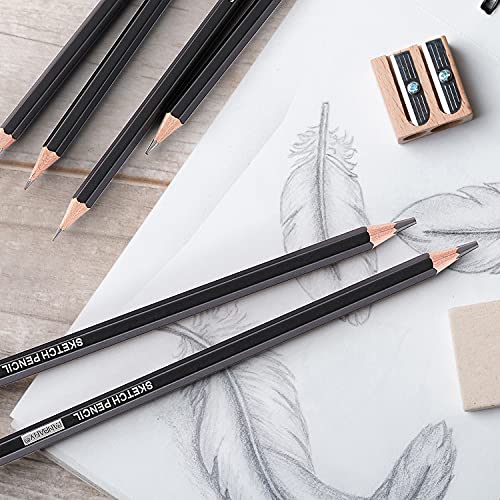 12 Pieces Professional Drawing Sketching Pencil Graphite Pencils(14B - 2H), Ideal for Drawing Art, Sketching, Shading, Artist Pencils for Beginners & Pro Artists