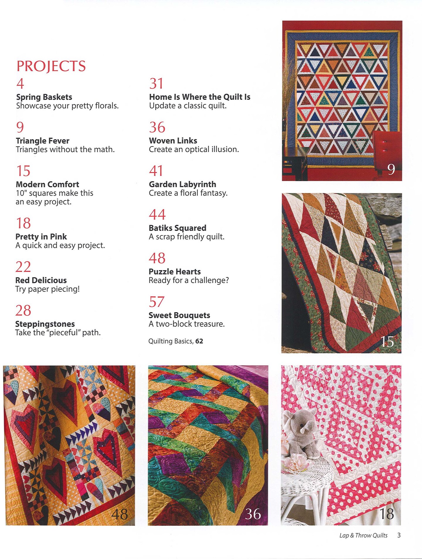 Leisure Arts Lap and Throw Quilts Quilting Book