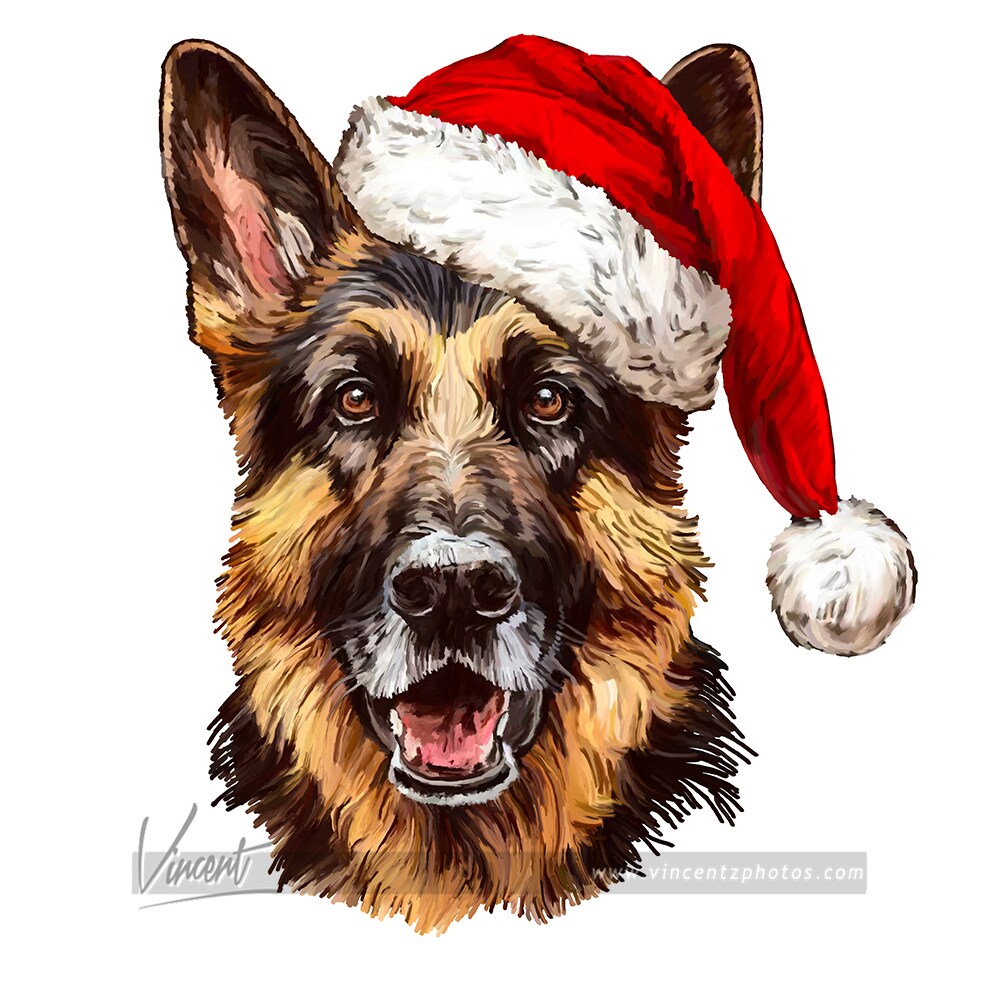 German Shepherd Dog Xmas 