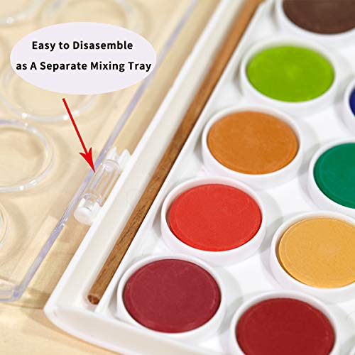 TBC The Best Crafts 12 Colors Watercolor Cake, Artist Paint Palette with  Paint Brush, Educatioanl School Art Supplies for Kids, Early Learning Art